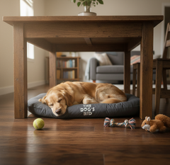 The Dog’s Bed – Supportive Dog Bed with Raised Sides, Calming Surface – CertiPUR-Certified Foam