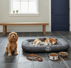 The Dog’s Bed – Supportive Dog Bed with Raised Sides, Calming Surface – CertiPUR-Certified Foam
