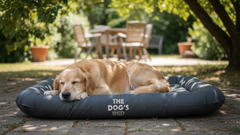 The Dog’s Bed – Supportive Dog Bed with Raised Sides, Calming Surface – CertiPUR-Certified Foam