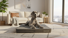 The Dog’s Bed Orthopaedic Memory Foam Dog Bed, Waterproof Washable Cover, Anti-Slip Base, Calming Surface – CertiPUR-Certified Foam, Grey Plush