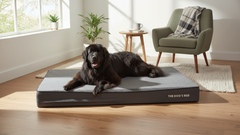 The Dog’s Bed Orthopaedic Memory Foam Dog Bed, Waterproof Washable Cover, Anti-Slip Base, Calming Surface – CertiPUR-Certified Foam, Grey Plush