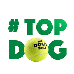 The Big Dog's Balls - 3 Strong Large Dog Tennis Balls