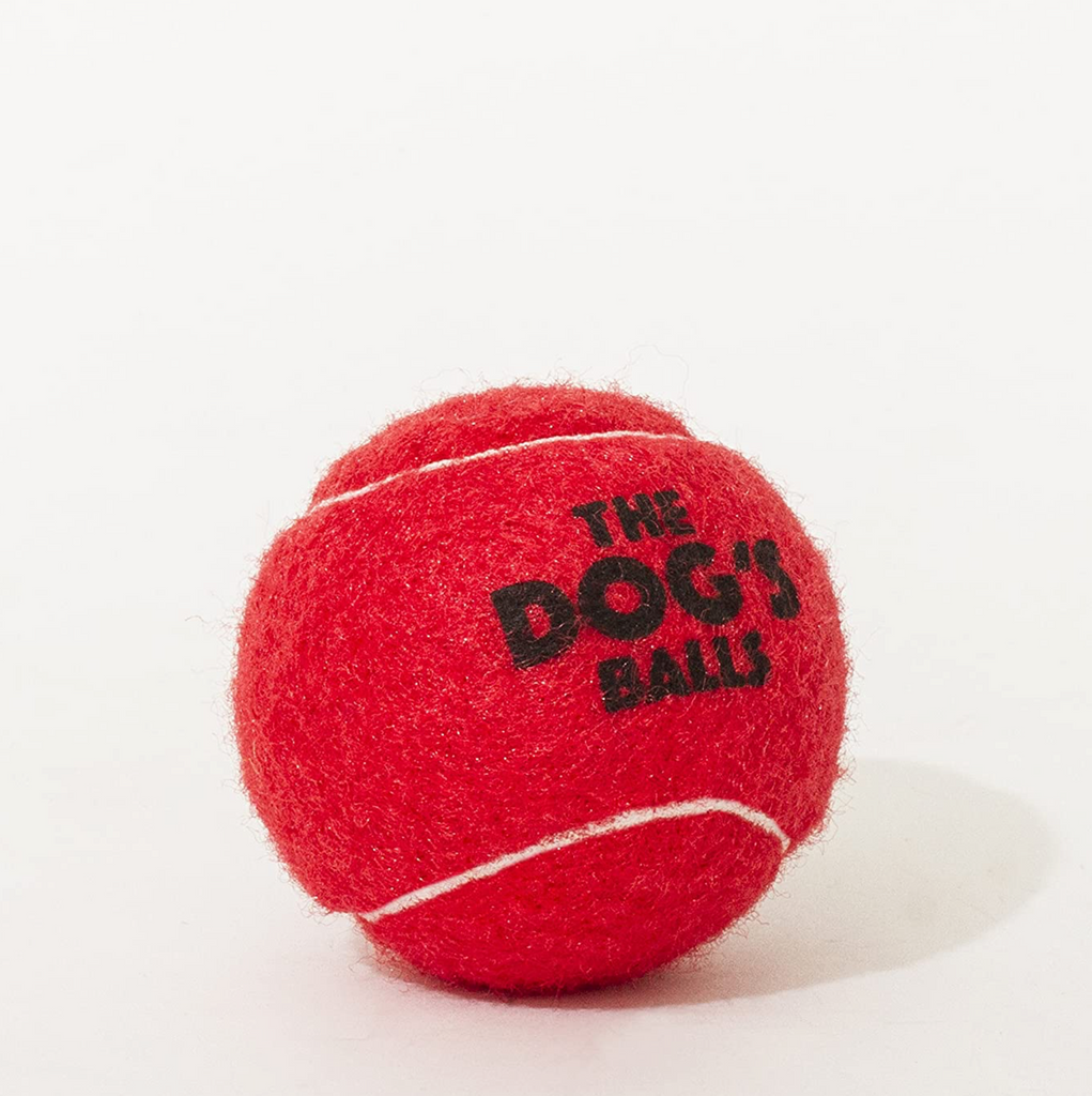 Strong tennis balls for dogs best sale