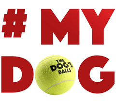 The Dog's Balls - 6 Strong Dog Tennis Balls