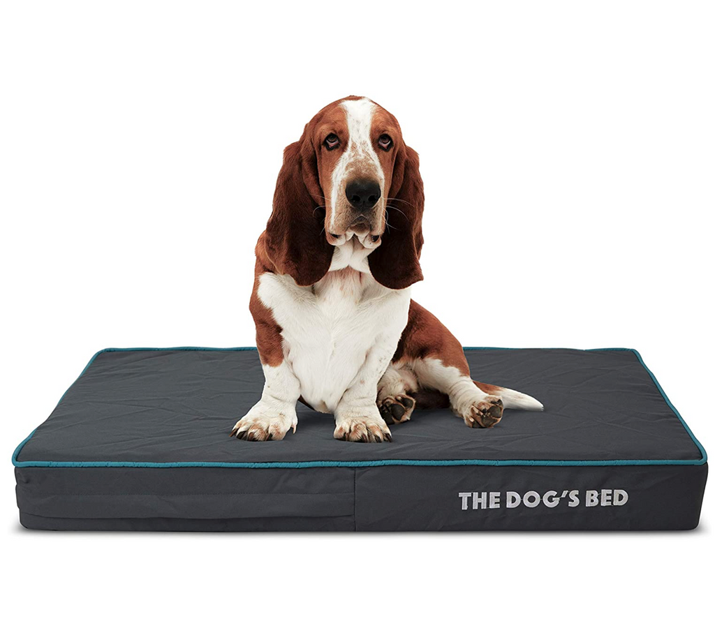 Memory foam sales dog beds canada