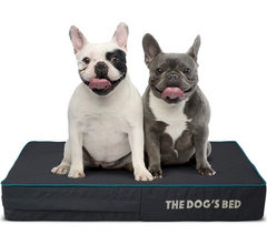The Dog’s Bed Orthopaedic Mattress Bed (Grey with Blue Trim)