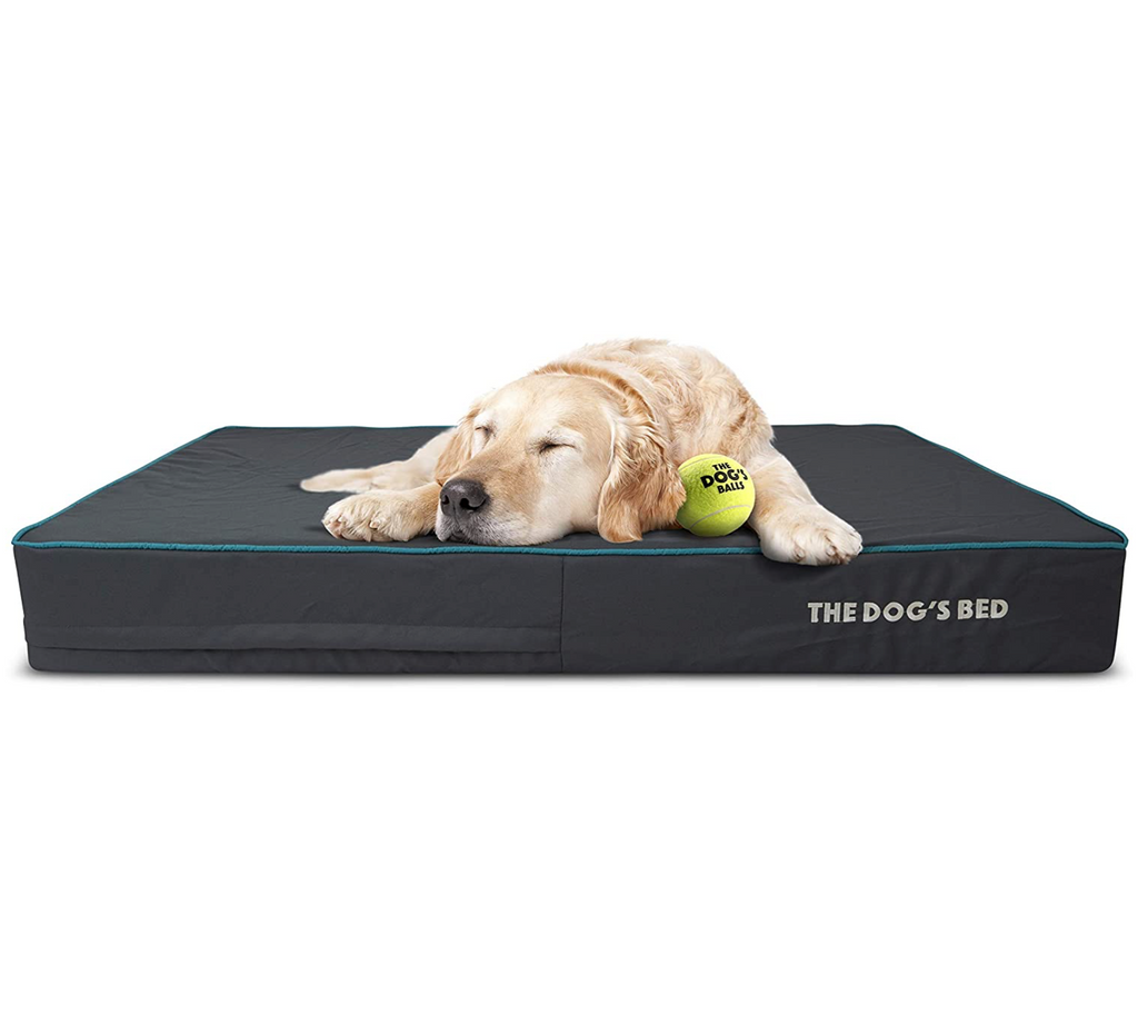 The Dog’s Bed Orthopaedic Mattress Bed (Grey with Blue Trim)