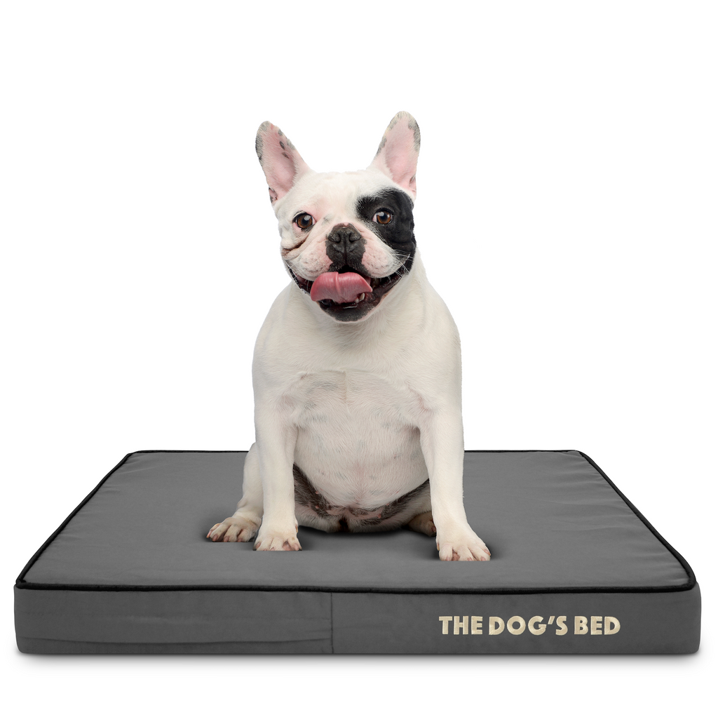 The Dog s Bed Orthopaedic Mattress Bed Grey with Black Trim